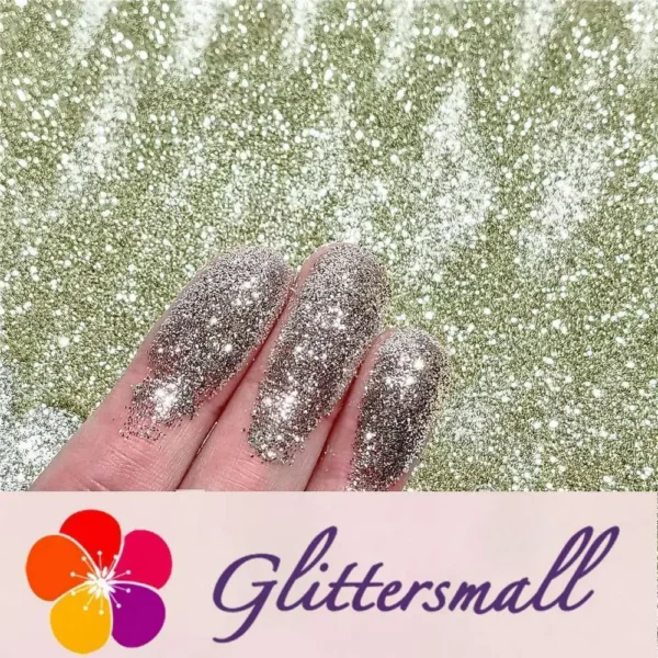 0.3mm Champagne Silver Glitter Pure Color B0102