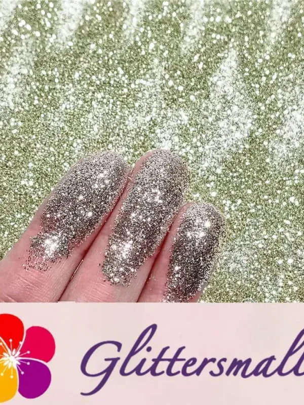 0.3mm Champagne Silver Glitter Pure Color B0102
