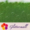 IMG_20220102_145647.webp 0.2mm Holographic Green Extra Fine Glitter (Ultra-thin) LB0601
