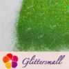 IMG_20220102_145702.webp 0.2mm Holographic Green Extra Fine Glitter (Ultra-thin) LB0601
