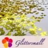 IMG_20191015_211626.webp 3mm Butterfly Shapes Gold Glitter B0203