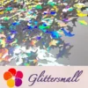 IMG_20191031_154748.webp Holographic Silver Dolphin Shaped Glitter LB100
