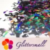 IMG_20191031_160640.webp Holographic Black Dolphin Shaped Glitter LB01000