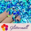 IMG_20191031_162402.webp Holographic Sky Blue Dolphin Shaped Glitter LB700