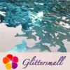IMG_20191031_163153.webp Sky Blue Dolphin Shaped Glitter B0711