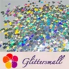 IMG_20191113_140637_57365960-f40d-4075-a250-5e361c313564.webp 6mm Turtles Shaped Holographic Silver Glitter LB100