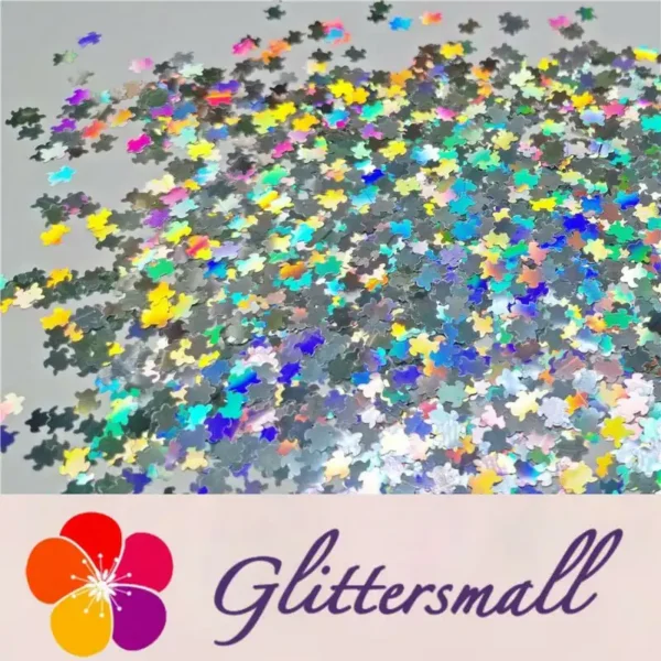 IMG_20191113_140637_57365960-f40d-4075-a250-5e361c313564.webp 6mm Turtles Shaped Holographic Silver Glitter LB100