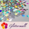 IMG_20191113_140730_7f71ee3d-4e21-490f-8694-b438afa9133a.webp 6mm Turtles Shaped Holographic Silver Glitter LB100