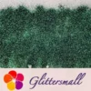 0.2mm Forest Iridescent Glitter Powder LSB004