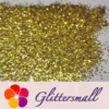 IMG_20200201_163653.webp 1mm Hexagon Shapes Gold Glitter B0203
