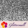 IMG_20200201_170653.webp 1mm Hexagon Shapes Silver Glitter B0100