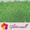 0.2mm Holographic Pigment Grass Green Glitter Cosmetic Grade SLG008