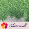 0.2mm Holographic Pigment Grass Green Glitter Cosmetic Grade SLG008