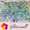 IMG_20200423_201214.webp 6mm Holographic Silver Hollow Out Star Shaped Glitter LB0100