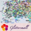 IMG_20200423_201247.webp 6mm Holographic Silver Hollow Out Star Shaped Glitter LB0100