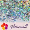 IMG_20200423_201346.webp 6mm Holographic Silver Hollow Out Star Shaped Glitter LB0100