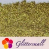 IMG_20200423_215304_cf8d8e55-98c7-47c1-9c4e-cbe4d1591565.webp 2x2 Glitter Holo Shards (Flakes) Holographic Pigment Gold Glitter Solvent Resistant SLG003