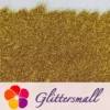 IMG_20200613_202326.webp 0.2mm Gold Glitter Pure Color B0202