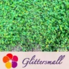 IMG_20200622_202342.webp General Mixed Iridescent Translucent Green Glitter C013