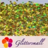IMG_20200924_201007.webp 6mm Holographic Gold Snowflake Shaped Glitter LB0210