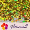 IMG_20200924_201055.webp 6mm Holographic Gold Snowflake Shaped Glitter LB0210
