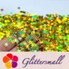 IMG_20200924_201127.webp 6mm Holographic Gold Snowflake Shaped Glitter LB0210