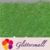 IMG_20201127_164342.webp 0.3mm Green High Brightness Glaze Glitter XC-YC004