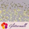 IMG_20210105_134931.webp 10 Notes Shaped Golden Mixed Metal Glitter MC204