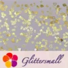 IMG_20210105_143409.webp Golden Random Shaped Mixed Metal Glitter MC210