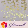IMG_20210105_143419.webp Golden Random Shaped Mixed Metal Glitter MC210