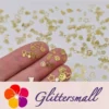 IMG_20210105_143536.webp Golden Random Shaped Mixed Metal Glitter MC210
