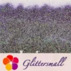 IMG_20210124_195235.webp 0.4mm Iridescent Phantom Purple Color Shift Glitter C-BSL009