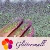 IMG_20210124_195434.webp 0.4mm Iridescent Phantom Purple Color Shift Glitter C-BSL009