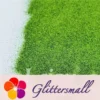 0.2mm Solvent Resistance Holographic Grass Green Glitter For Nail Polish LS0601