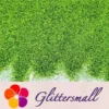 0.2mm Solvent Resistance Holographic Grass Green Glitter For Nail Polish LS0601