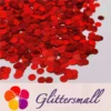 IMG_20210315_203904.webp 6mm Round Shaped Holographic Red Glitter LB0300
