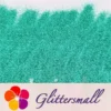 IMG_20210317_162043.webp 0.4mm Pearl Turquoise Green Matte Solvent Resistance Glitter FC-GS007