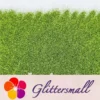 IMG_20210322_152828.webp 0.3mm Olive Green Fine Glitter Pure Color B0612