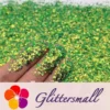 IMG_20210507_144302.webp Iridescent Phantom Golden Green Color Shift Glitter Flakes C-BSL7130 2X2