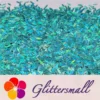 IMG_20210508_153804.webp 6mm Candy Sweet Shaped Holographic Teal Green Glitter LB0702