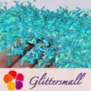 IMG_20210508_153918.webp 6mm Candy Sweet Shaped Holographic Teal Green Glitter LB0702