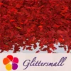 IMG_20210508_154825.webp 6mm Candy Sweet Shaped Holographic Red Glitter LB0300