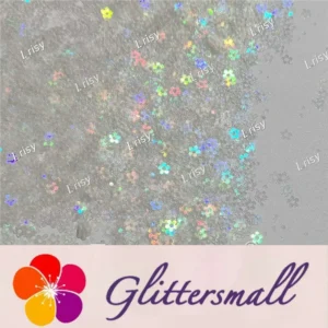 IMG_20211212_153934.webp 4mm Hollow Out Plum Flower Shaped Translucent Holographic Rainbow Glitter LB01100
