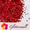 IMG_20211212_154835.webp 4mm Hollow Out Plum Flower Shaped Holographic Red Glitter LB0300