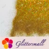 0.2mm Holographic Gold Extra Fine Glitter (Ultra-thin) LB0210